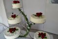 DSC_0835.JPG - 